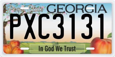 GA license plate PXC3131