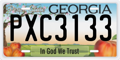 GA license plate PXC3133