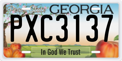 GA license plate PXC3137