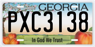 GA license plate PXC3138