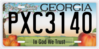 GA license plate PXC3140