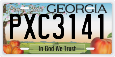 GA license plate PXC3141