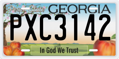 GA license plate PXC3142