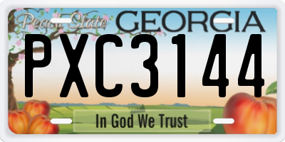 GA license plate PXC3144