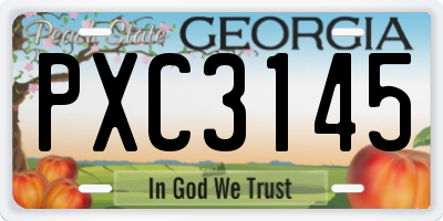 GA license plate PXC3145