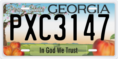 GA license plate PXC3147