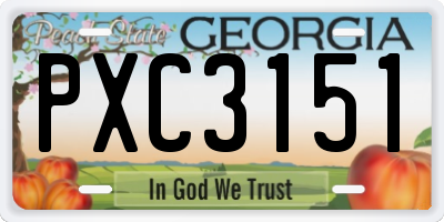 GA license plate PXC3151