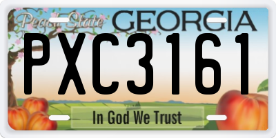 GA license plate PXC3161