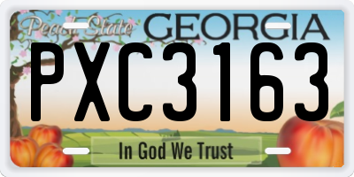 GA license plate PXC3163