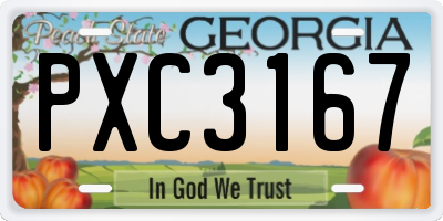 GA license plate PXC3167