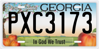 GA license plate PXC3173