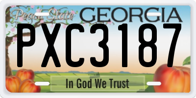 GA license plate PXC3187