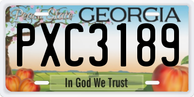 GA license plate PXC3189