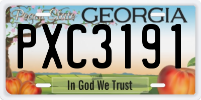 GA license plate PXC3191