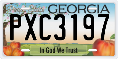 GA license plate PXC3197