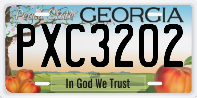 GA license plate PXC3202