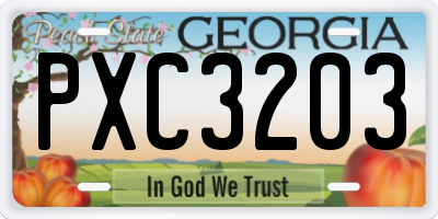 GA license plate PXC3203