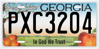 GA license plate PXC3204