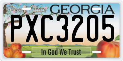 GA license plate PXC3205