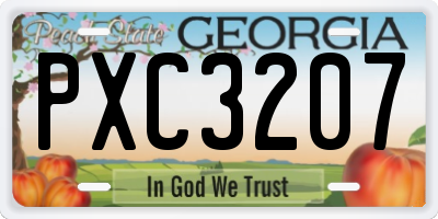 GA license plate PXC3207