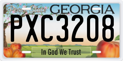 GA license plate PXC3208