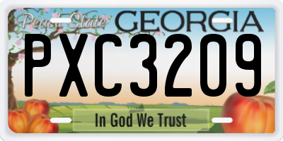 GA license plate PXC3209
