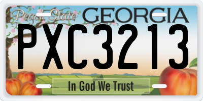 GA license plate PXC3213