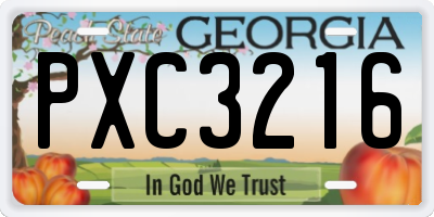 GA license plate PXC3216