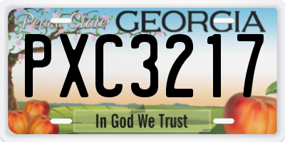 GA license plate PXC3217