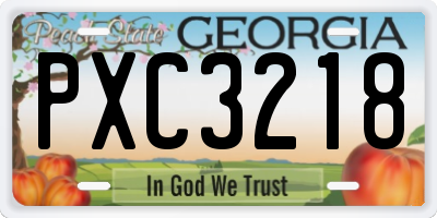 GA license plate PXC3218