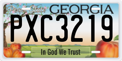 GA license plate PXC3219
