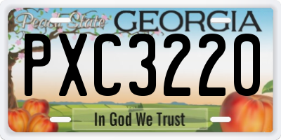 GA license plate PXC3220