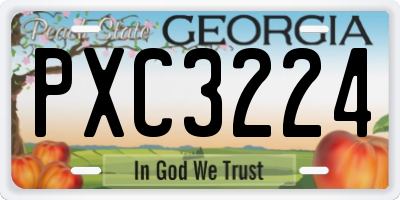 GA license plate PXC3224