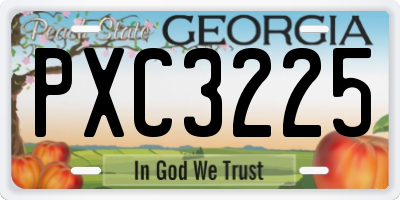 GA license plate PXC3225