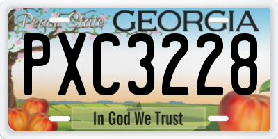 GA license plate PXC3228