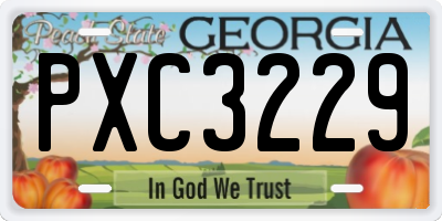 GA license plate PXC3229