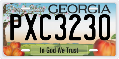 GA license plate PXC3230