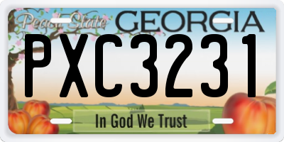 GA license plate PXC3231