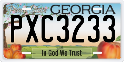 GA license plate PXC3233