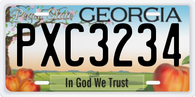 GA license plate PXC3234