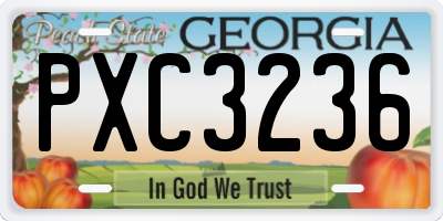 GA license plate PXC3236