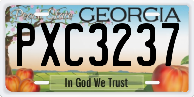 GA license plate PXC3237