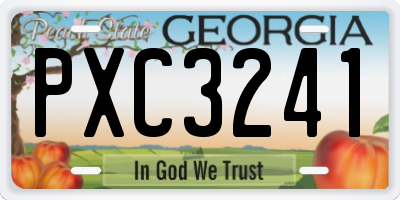 GA license plate PXC3241