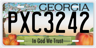 GA license plate PXC3242