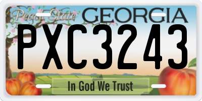 GA license plate PXC3243