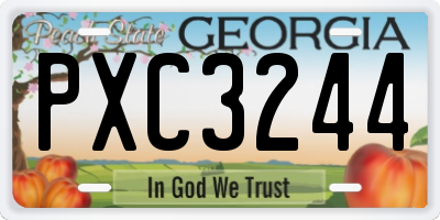 GA license plate PXC3244
