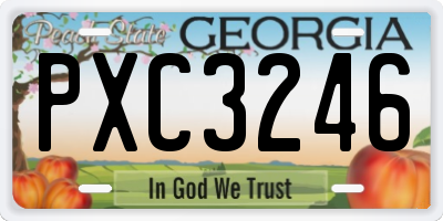 GA license plate PXC3246