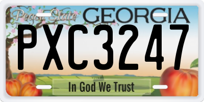 GA license plate PXC3247