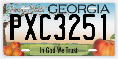 GA license plate PXC3251