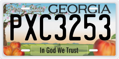 GA license plate PXC3253